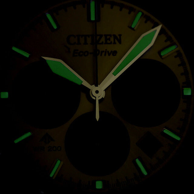 シチズン プロマスター SKYシリーズ 光発電エコドライブ 腕時計 ブランド メンズ クロノグラフ ソーラー CITIZEN PROMASTER CA4660-61A アナログ シルバー CA4660-61A