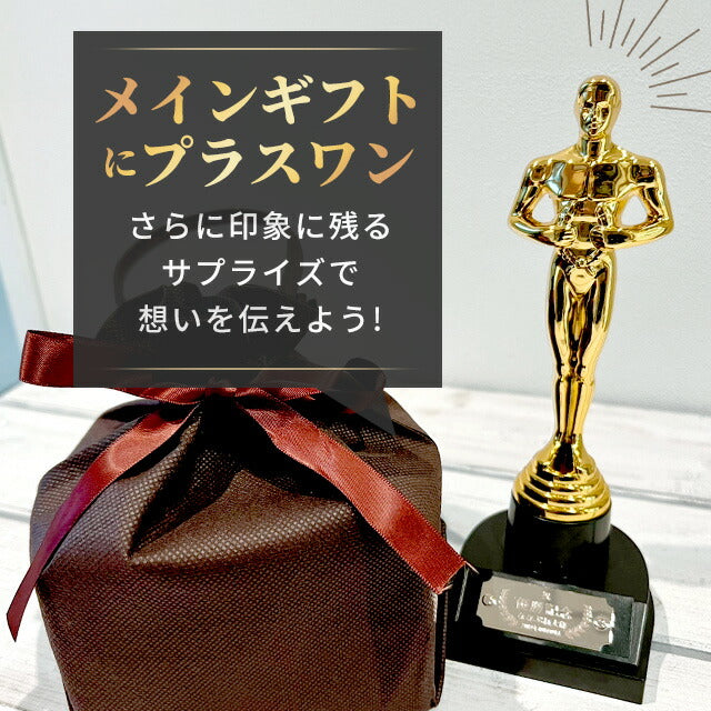 オスカートロフィー プラスチック プレゼント ギフト 記念品 お祝い 表彰 優勝 名入れ Oscar-engraving