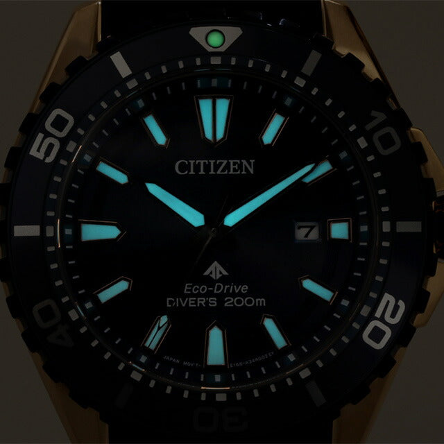 Citizen Premaster Marine Eco Drive太阳能观看品牌潜水员手表太阳能公民BN0196-01L模拟