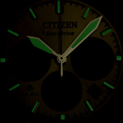シチズン プロマスター SKYシリーズ 光発電エコドライブ 腕時計 ブランド メンズ クロノグラフ ソーラー CITIZEN PROMASTER CA4660-61A アナログ シルバー CA4660-61A