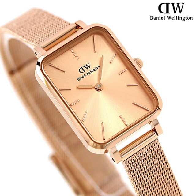 Daniel Wellington Quartz Watch Brand Ladies DW00100484模拟玫瑰金