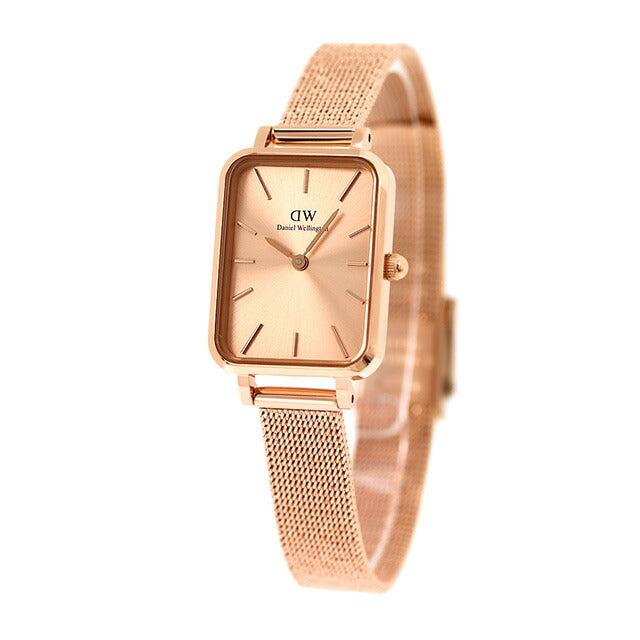 Daniel Wellington Quartz Watch Brand Ladies DW00100484模拟玫瑰金