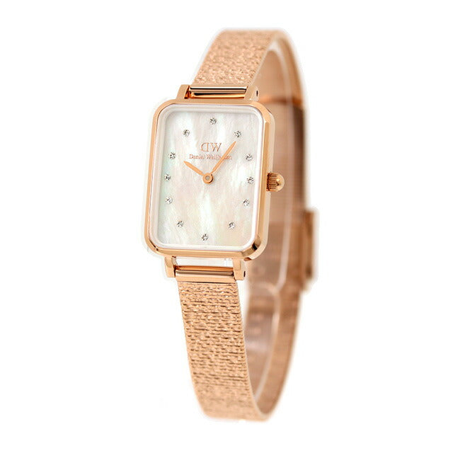 Daniel Wellington Quartz Watch Brand Ladies DW00100578模拟外壳