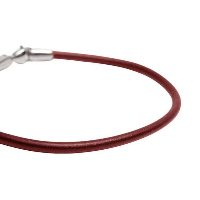 ダニエルウェリントン DANIEL WELLINGTON Leather Bracelet 2.8 St Mawes S 175mm ブレスレット DW00400715 レディース メンズ シルバー ブラウン WQ00053776